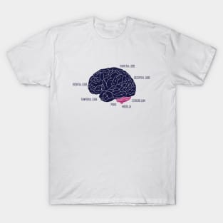 Human brain anatomic T-Shirt